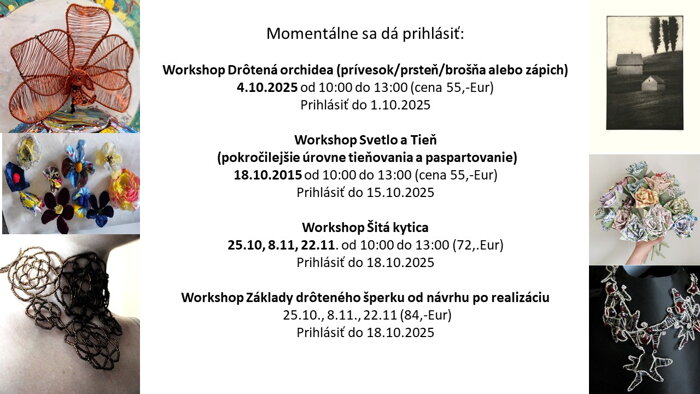 workshopy